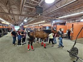 WRF 2025 Meadowlands-172503